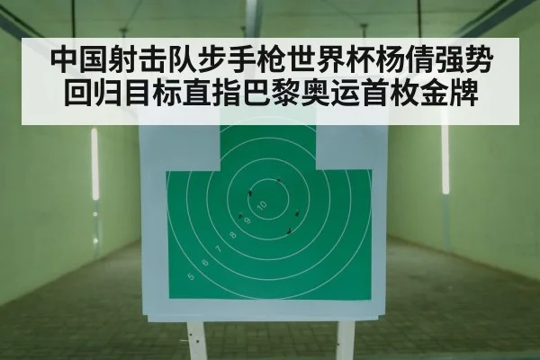 shooting competition finals target